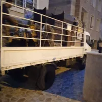 باربری اسباب کشی همراه باکارگر جوان ماهر شش چرخ|خدمات حمل و نقل|کیش, |دیوار