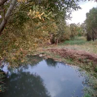 اجاره کوتاه مدت یک واحد سوئیت ۴۵متری|اجارهٔ کوتاهمدت آپارتمان و سوئیت|قزوین, |دیوار