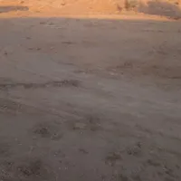 امتیاز گلخانهای مساحت ۴۰۰۰ متر