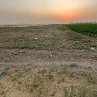 زمین برای گلخانه و گاوداری وباغ درنجم آباد|فروش زمین و ملک کلنگی|نظرآباد, |دیوار