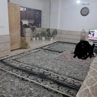 اجاره آپارتمان دلباز/قیمت عالی/خوش نقشه/شیک|اجارهٔ آپارتمان|تربت جام, شهرک آزادگان|دیوار