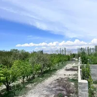 زمین ۳۰۰متری برق گاز  اب کشاورزی زکی اباد شهرکی|فروش زمین و ملک کلنگی|کرج, برغان|دیوار