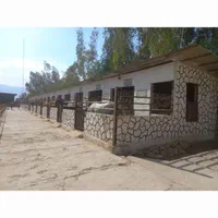 سوله اجاره ای برق ۳فاز باشگاه سوارکاری و اصطبل اسب|اجارهٔ دفتر صنعتی، کشاورزی، تجاری|شیراز, وزیرآباد|دیوار