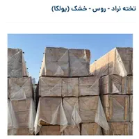 تخته بنایی/ نراد روس/ خشک(یولکا)