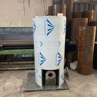 سنگشویی تولید دیگ بخار کارواش بخار