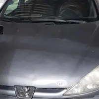 پژو 206 SD V8، مدل ۱۳۸۷|خودرو سواری و وانت|شیراز, پودنک|دیوار