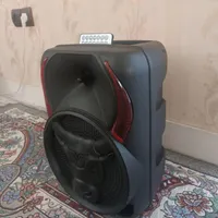 اسپیکر شارژی EVER-۸۲۴
