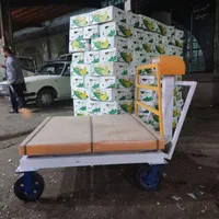 باسکول دو تن میدانی شاسی دوبل|فروشگاه و مغازه|چهاردانگه (تهران), |دیوار