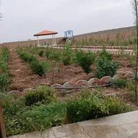 ۲۳۰۰متر باغچه بالوکیشن عالی