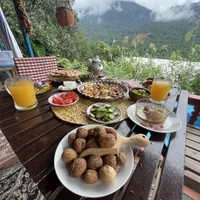 اجاره ویلا جنگلی دربست|اجارهٔ کوتاهمدت ویلا و باغ|نشتارود, |دیوار