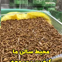 میلورم زنده و خشک/عمده/جزئی/سوپرورم/سبد و کود