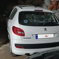 ۲۰۷ پانا دنده ایی با رینگ