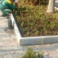 انجام خدمات باغبانی وگیاهان آپارتمانی