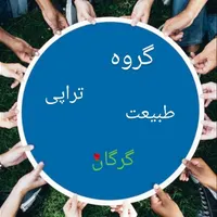 تراپی گردهمایی،طبیعت،بازی گروهی گرگان