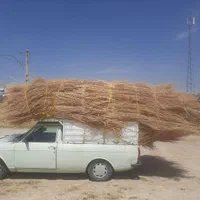 جاروشهرداری|عمده‌فروشی|کرج, برغان|دیوار