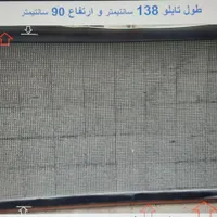 تی وی شهری