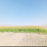 فروش زمین ۱ هکتار در سپاهان‌شهر|فروش زمین و ملک کلنگی|اصفهان, سپاهان‌شهر|دیوار