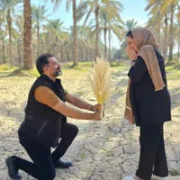 نخل پالم صدیق تولید و تامین با کیفیت