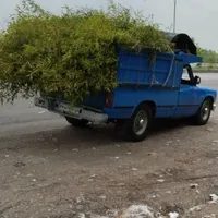 حمل بار و خورده بار با وانت،نیسان،خاور،بنز تک وجفت|خدمات حمل و نقل|بندر انزلی, شیلات|دیوار