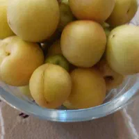 ابشار بعد از زردنجان  جوزدان خ بهاران|فروش زمین و ملک کلنگی|اصفهان, براآن شمالی|دیوار