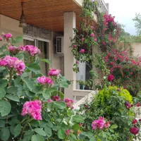 جای دنج مناسب برای دورهمی خانوادگی و جلسات|اجارهٔ کوتاه‌مدت ویلا و باغ|قائم‌شهر, |دیوار