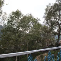 اجاره کلبه چوبی سوئیسی خان عمو|اجارهٔ کوتاهمدت ویلا و باغ|زیرآب, |دیوار