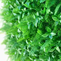 پنل دیوار سبز گرین وال مصنوعی برگ سیکاس|گل مصنوعی|تهران, توحید|دیوار
