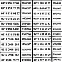 0919-919-918-918