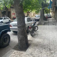 مغازه ۳۰متری جانباز ۱۳بین وصال ۳و۵|اجارهٔ مغازه و غرفه|مشهد, جانباز|دیوار
