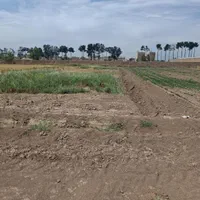 زمین باغی پویینک قرچک(سند تک برگ)|فروش زمین و ملک کلنگی|قرچک, پویینک|دیوار