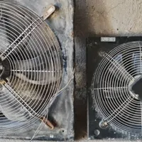 فن بزرگ