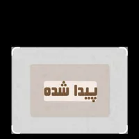 یک جفت کفش اسکیت پیدا شده
