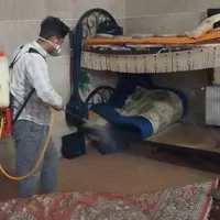 سمپاشی منزل باضمانت ریشه کنی حشرات فقط.دریک مرحله|خدمات نظافت|قرچک, |دیوار