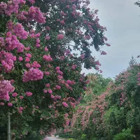 360-متر-زمین-آپارتمان-سازی-هچیرود