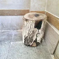 کنده درخت|صنایع دستی و سایر لوازم تزئینی|اصفهان, شفق|دیوار