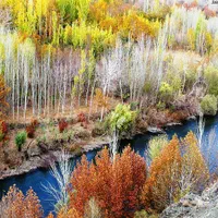 این چندتا باغ  میوه فروشی هستن