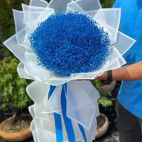 دسته گل ژیپسوفیلا یک متری|گل و گیاه طبیعی|تهران, فلاح|دیوار
