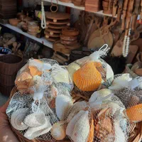 سبد صدف دکوری|صنایع دستی و سایر لوازم تزئینی|رشت, گلباغ نماز|دیوار