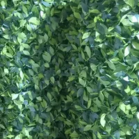 فنس برگ ریحون فنس چمنی برگی عمده|مصالح و تجهیزات ساختمان|شهریار, کردزار|دیوار