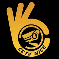 دوربین و دزدگیر ، برق کشی