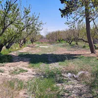 باغ ۳ هکتاری سند دار شهریار دهشاد میدان نماز|فروش خانه و ویلا|شهریار, |دیوار