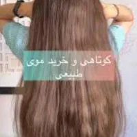 موی بلند و کوتاه