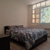 ۷۹واحد دو،تکخواب|اجارهٔ کوتاه‌مدت آپارتمان و سوئیت|تهران, درختی|دیوار