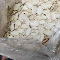 تخمه کدو خام عالی توپر|خوردنی و آشامیدنی|تهران, جمهوری|دیوار