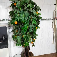 درختچه مصنوعی بزرگ وسالم