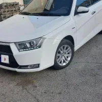 دناپلاس تیپ ۲ رنگ
