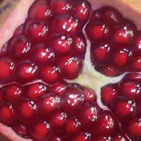 آب انار آب زرشک آلبالو ذغال اخته زرد آلو آلو جنگلی