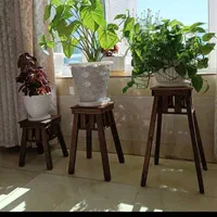 استندگل چهارپایه سه عددباهم۳۰۰زیرقیمت بازار|گل و گیاه طبیعی|اصفهان, باتون|دیوار