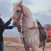 اموزش سوار کاری جشواره تابستانه