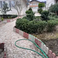 خدمات باغبانی وباغداری،گلکاری، تراش،سمپاشی|خدمات باغبانی و درختکاری|رامسر, |دیوار